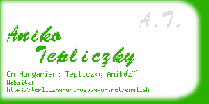 aniko tepliczky business card